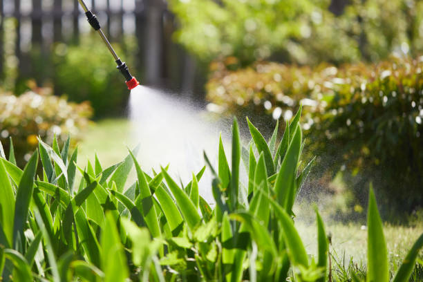 Tamper-Resistant Bait Stations for Rodents in Cañon City