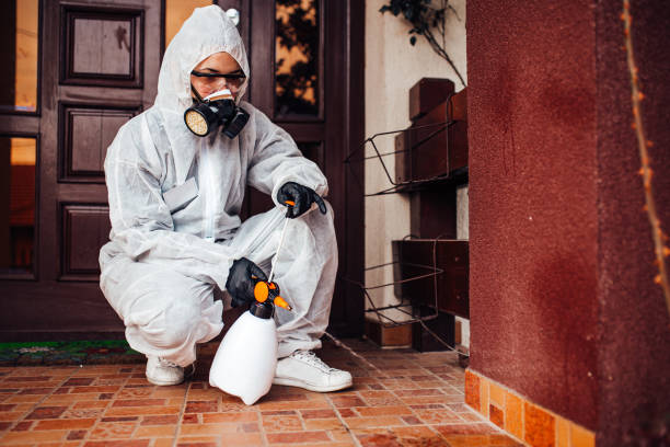 Attic and Crawl Space Rodent Treatment in Cañon City
